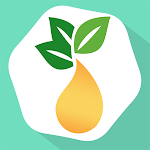 Cover Image of Baixar Essential Oils Guide - MyEO  APK