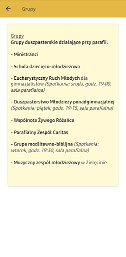 Parafia w Wielichowie Screen 3