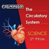 El-Moasser Circulatory System icon