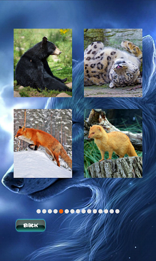 Animals Jigsaw Puzzle screenshots 12