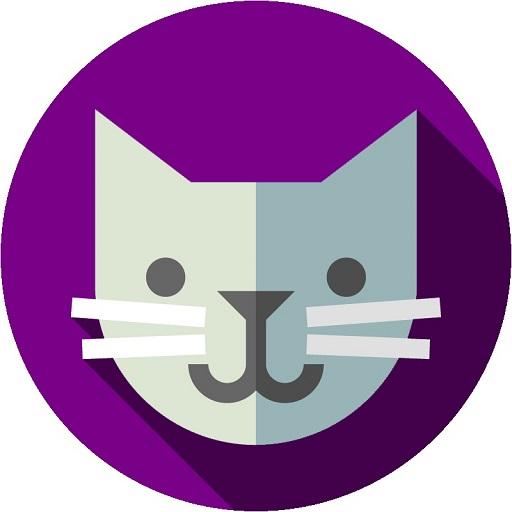 Kitty App Scarica su Windows