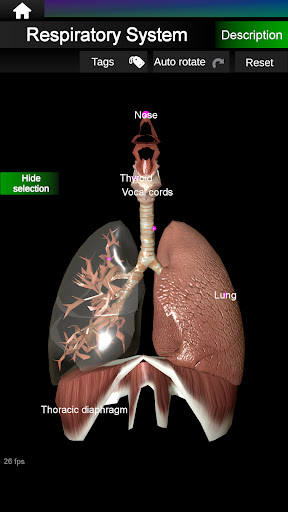 Logo https://play-lh.googleusercontent.com/LLPCJsPdLvPmxPaALGDm4zYtl3ZfuDSGqQVs1K17SwG2_GuaZYbl_KXwFS2L1V8-hA