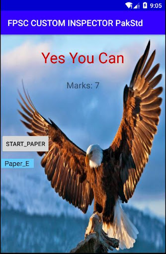 CUSTOM INSPECTOR PakStd