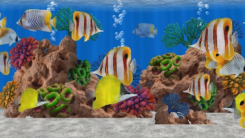 Butterfly Fish Aquarium TVのおすすめ画像2
