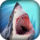 Shark Safari icon