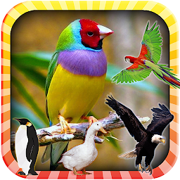 Icon image Learn the Birds