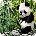Cover Image of Download Cute Panda Wallpapers HD  APK