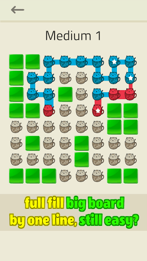 Cafe Cat logic puzzles low mb