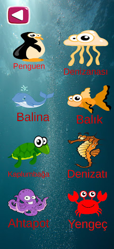 Resimli hayvan isim ve sesleri Screen 2
