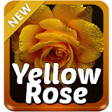 Yellow Rose Keyboard icon