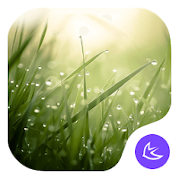 Lush-APUS Launcher theme