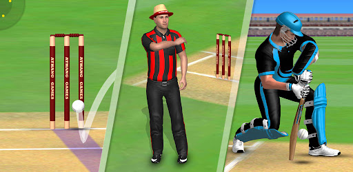 Cricket World Domination 2025