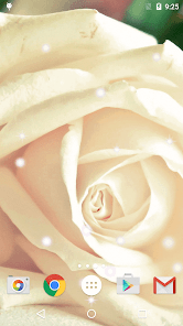 Screenshot 21 Rosas Blancas Fondo Pantalla android