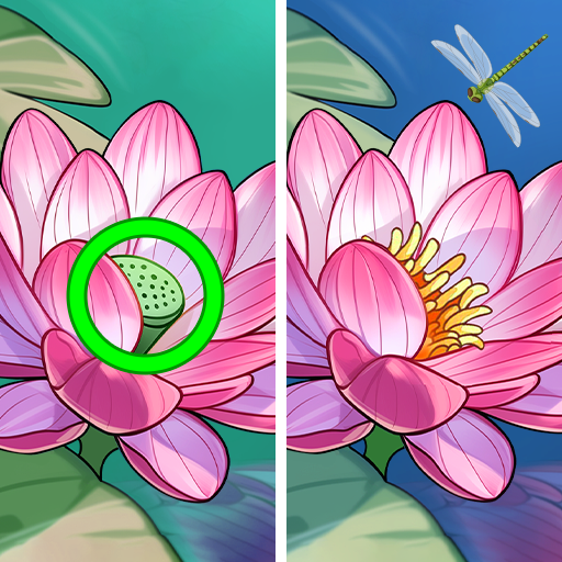 Find Zen: Find Difference Spot Download on Windows