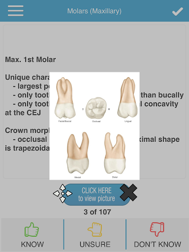 ADAT Dental Anatomy Cram Cards