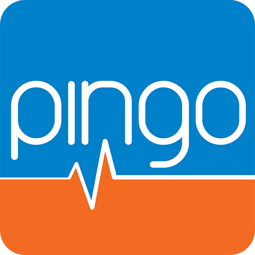 Pingo Analisi Internet logo
