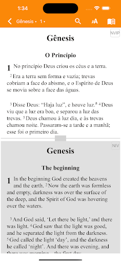 NVI Português Bible Screen 2