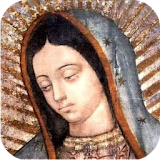 La Preciosa Guadalupe icon