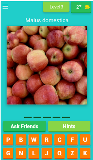 Tebak Nama Buah
