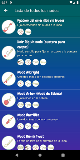 Vista previa de la aplicación