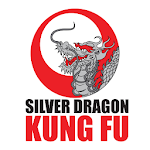 Cover Image of 下载 Silver Dragon Kung Fu  APK