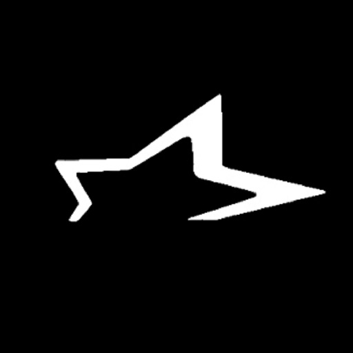 CallStar 3.0 logo