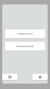 Animal Live Cams