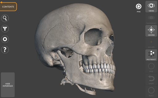 Screenshot of 3D Anatomy for the Artist