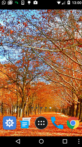 Android application autumn forest wallpaper screenshort