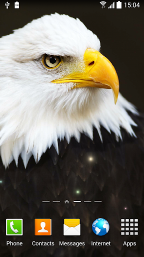 Android application Birds Live Wallpaper screenshort