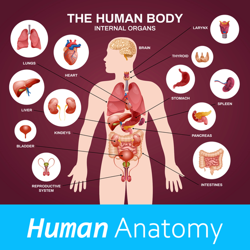Human Anatomy Download on Windows