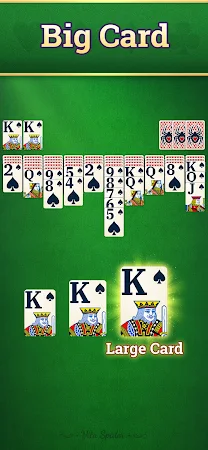 Game screenshot Vita Spider Solitaire hack