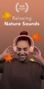 Study Ambience: music & sounds 1