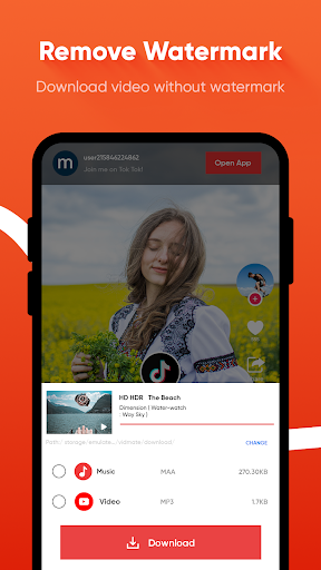 All Video Downloader Screen 3