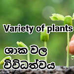 Cover Image of ดาวน์โหลด Variety of plants  APK
