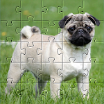 Cover Image of 下载 Pugs jigsaw puzzle dogs  APK
