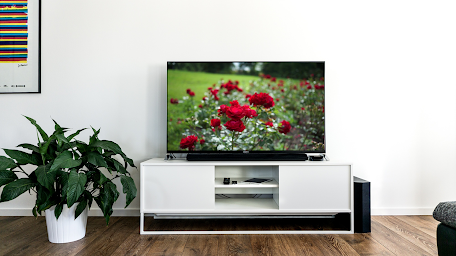 Roses on Chromecast
