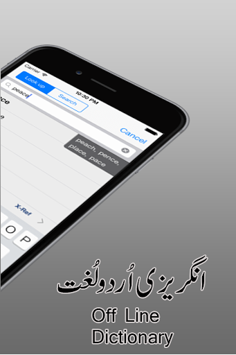 English to Urdu Dictionary Screen 2