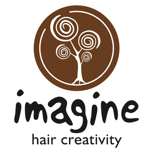 Imagine Hair Creativity logo