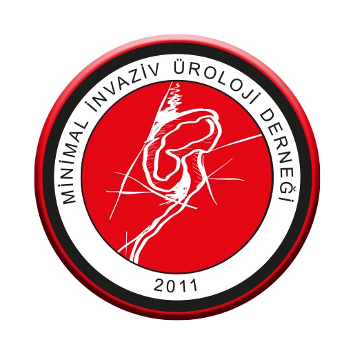 MİNİMAL 2024 logo