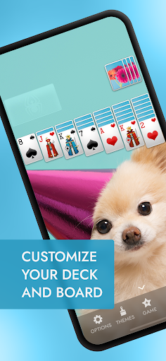 Spider Solitaire+ - Screenshot 3