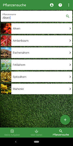 Pflanz Memo Screen 2