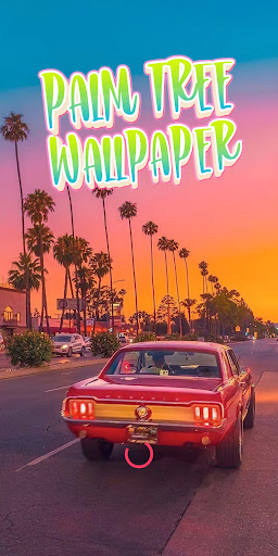 Android application coconut tree wallpaper screenshort