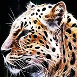 3D Leopard 18 icon