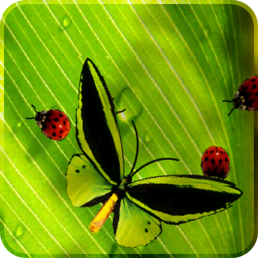 Friendly Bugs Free L.Wallpaper  Icon