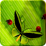Friendly Bugs Free L.Wallpaper icon
