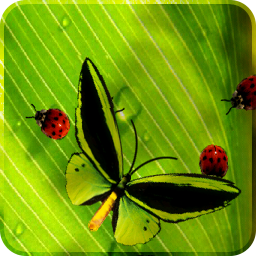 Icon image Friendly Bugs Free L.Wallpaper