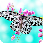 Cover Image of Download Butterfly Full HD Wallpaper  APK