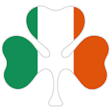 Irish Slang icon
