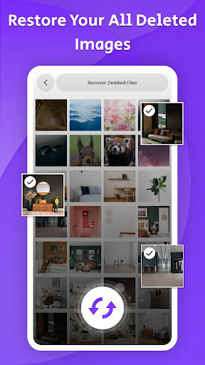 Recover deleted photos and Video
